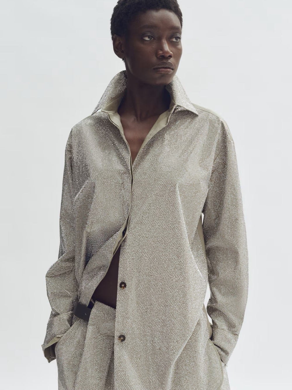 Metallic Silver Button-Front Blouse